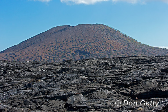 Lava Fields