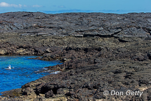 Lava Fields