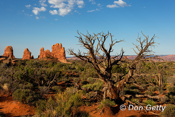 Arches_NP_45T5092
