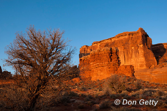 Arches National Park