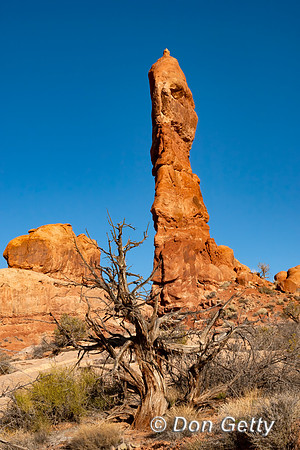 Arches National Park