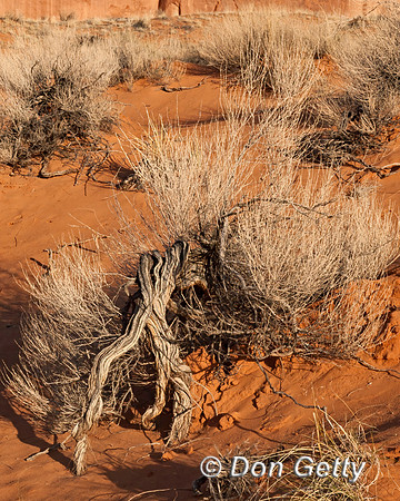 Arches National Park