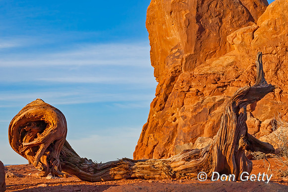 Arches National Park
