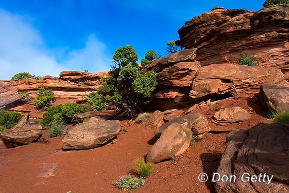 Canyonlands National Park