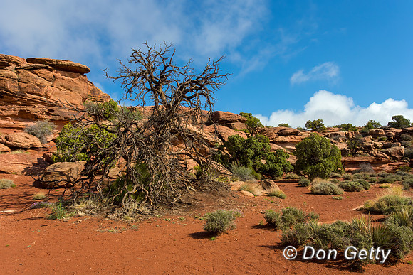 Canyonlands National Park