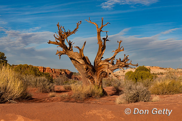 Canyonlands National Park