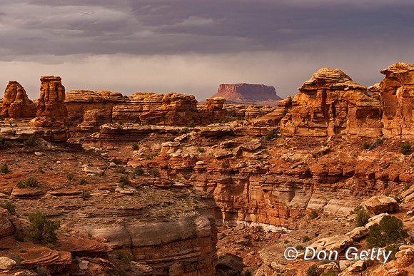 Canyonlands_NP_D4B6929