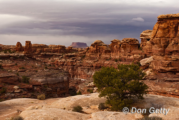 Canyonlands_NP_D4B6939