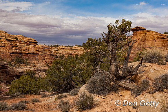 Canyonlands_NP_D4B6945
