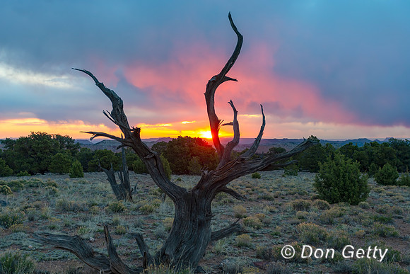 Capitol Reef National Park