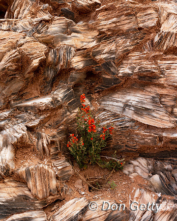 Capitol Reef National Park