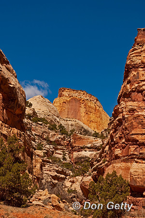 Capitol Reef National Park