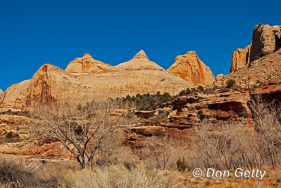 Capitol Reef National Park
