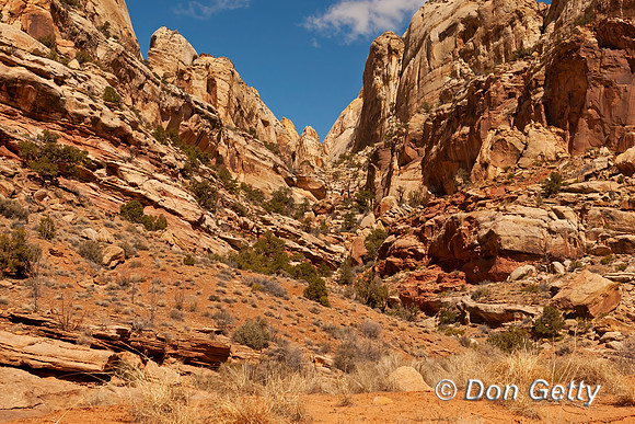Capitol Reef National Park