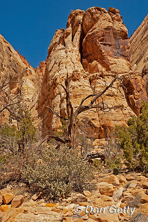 Capitol Reef National Park