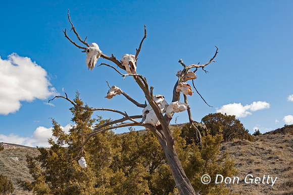 Dinosaur National Monument