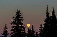 Full Moon