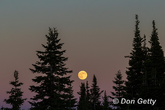 Full Moon
