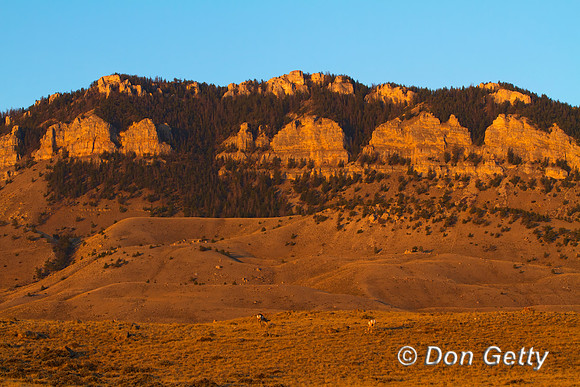 Sheep Mountain