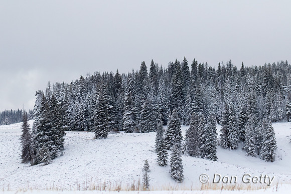 Bridger_TNF_C8A0801