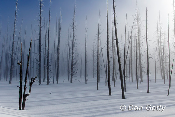 Yellowstone