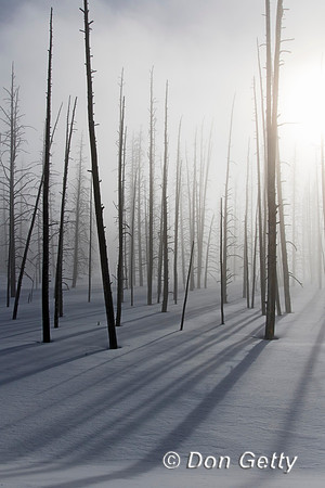 Yellowstone