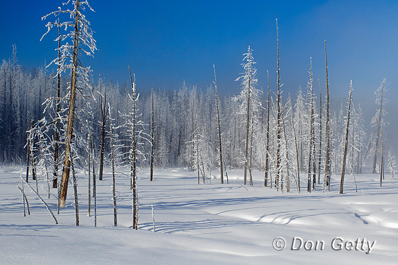 Yellowstone