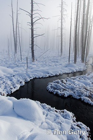 Yellowstone
