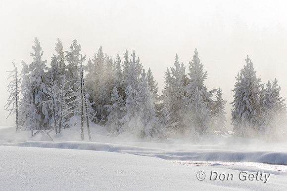 Yellowstone