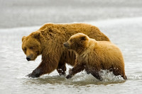 Alaska, Lake Clark National Park