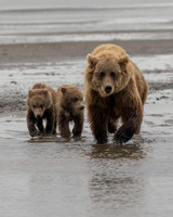 Alaska, August 2026