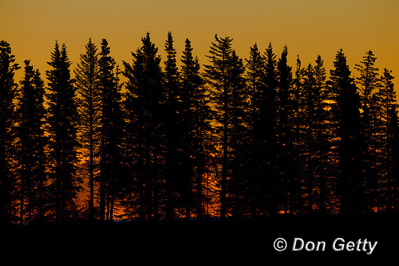 Alaska, "Lake Clark National Park", Sunrise