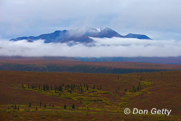 Alaska, "Denali National Park", Landscape