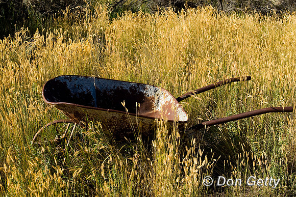 Bannack_D4B7596