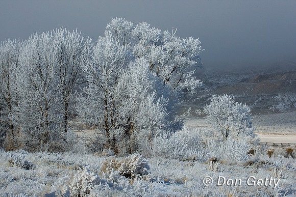Landscape_D4B3473
