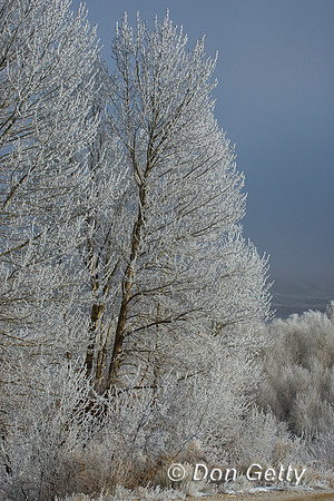 Landscape_D4B3455