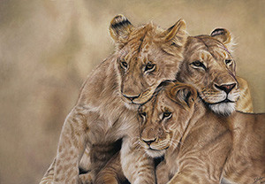 her-pride-df