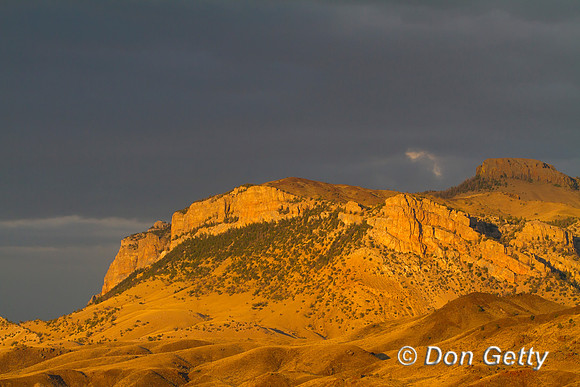 Landscape_MG_6964