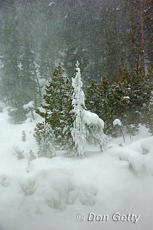 Wyoming, "Yellowstone National Park"