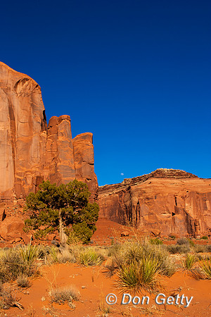 Monument_V_MR8D3633