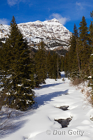 Yellowstone_Z2F4473