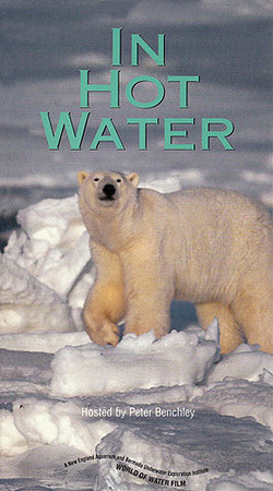 In Hot Water Adjusted