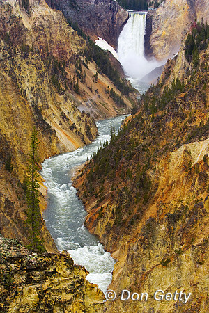 Yellowstone_R8D9402