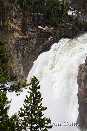 Yellowstone_R8D9392