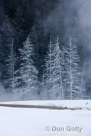 Yellowstone_R8D8033