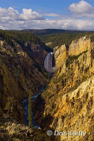 Yellowstone_R8D7970