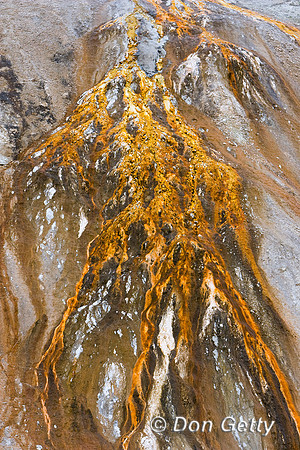 Yellowstone_R8D9312
