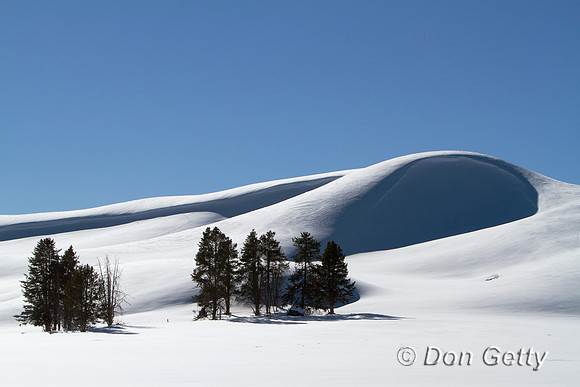 YNP_MG_6638