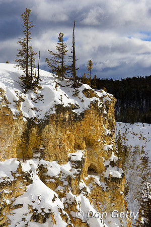 Yellowstone_R8D7929